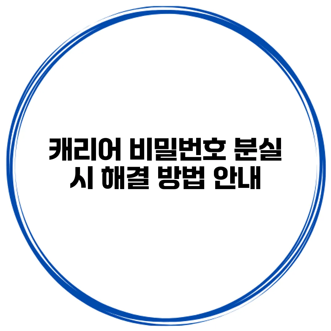 캐리어 비밀번호 분실 시 해결 방법 안내