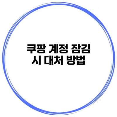 쿠팡 계정 잠김 시 대처 방법