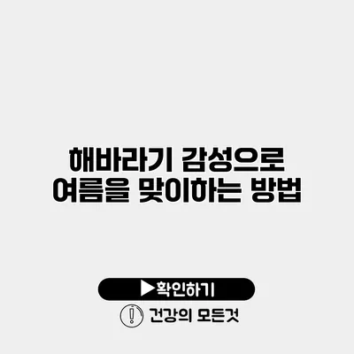 해바라기 감성으로 여름을 맞이하는 방법
