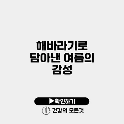 해바라기로 담아낸 여름의 감성