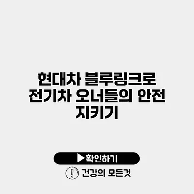 현대차 블루링크로 전기차 오너들의 안전 지키기