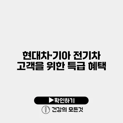현대차·기아 전기차 고객을 위한 특급 혜택
